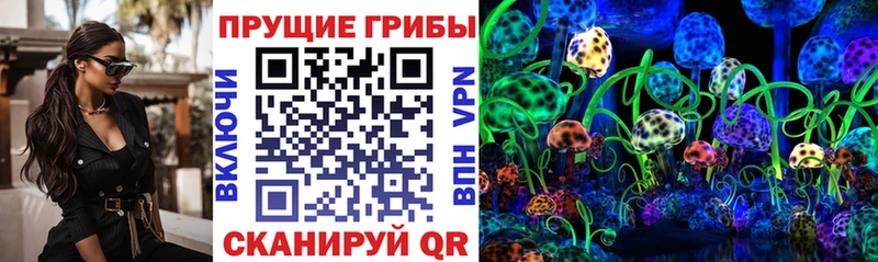 Псилоцибиновые грибы мухоморы  цены наркотик  Бобров 
